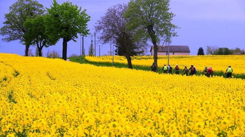 Le Lodge Du Parc بون المظهر الخارجي الصورة